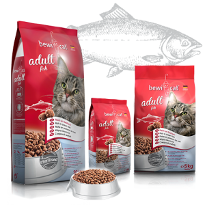 Bewi Cat Adult fish
