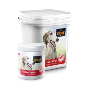 Belcando Instant Energy