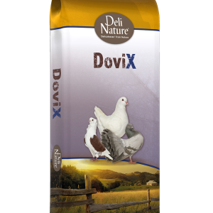 Show kleine rassen / Kortbekkengraan (20 kg)