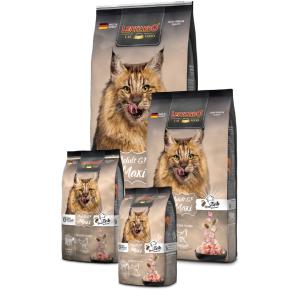 Leonardo Adult Maxi GF