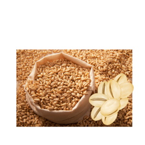 Gerst Geschoond (20 kg)*