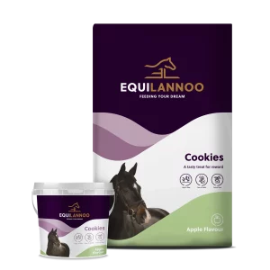 Equilannoo Cookies Apple (1,5 kg)*