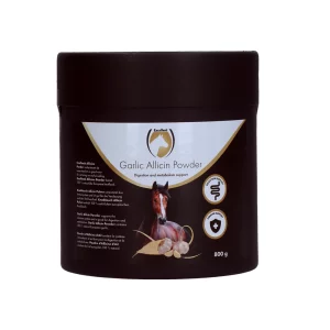 Garlic Allicin Powder (Knoflook Poeder) (800 gr)