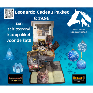 Leonardo Kerst pakket