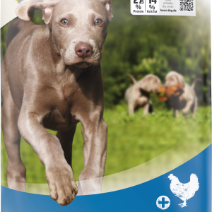 Bewi Dog Junior