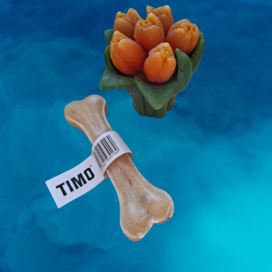 Timo kauwbot Rund - Small 15cm