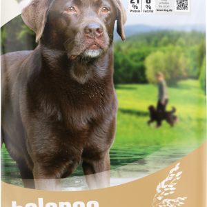 Bewi Dog Balance