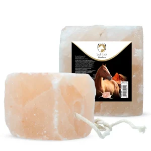 Salt Lick Himalaya (liksteen) (2-3 kg)*