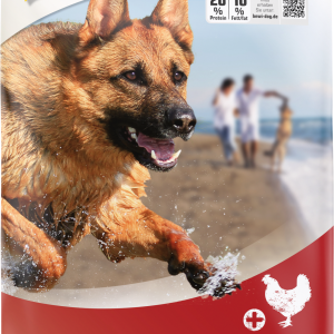 Bewi Dog Sport